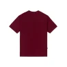 camiseta logo burgundy disturb