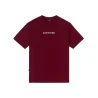 camiseta logo burgundy disturb